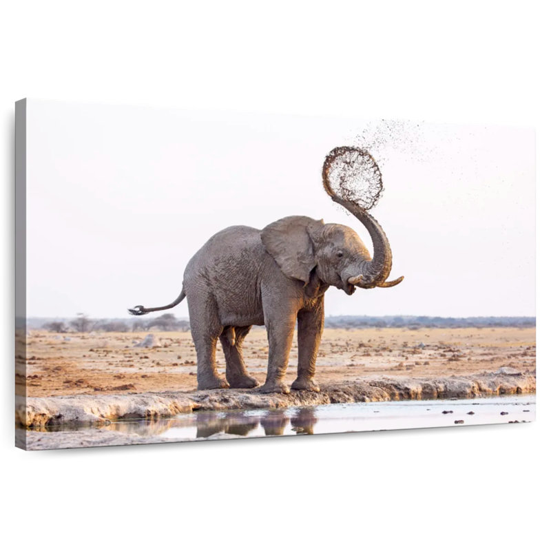 Brampt Elephant Mud Splash, 24" H x 36" W