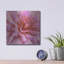  «Soft Wall Flower X» par Alonzo Saunders, art mural en métal, 12 po x 12 po-632283535