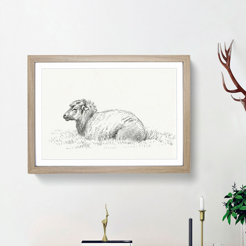 Lying Sheep by Jean Bernard - Framed Print, 48cm H x 65cm W x 2cm D, Oak Framed