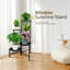 Plant Stand
