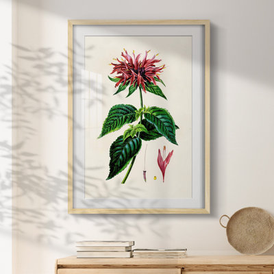 Argent -Gallery Wrapped Canvas