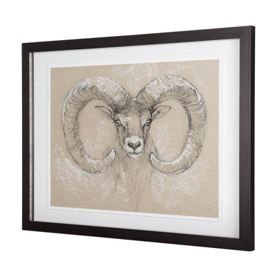 Sketch of animal I (Wild sheep) Studio Hand Embelished Framed Art Print Matted under Glass