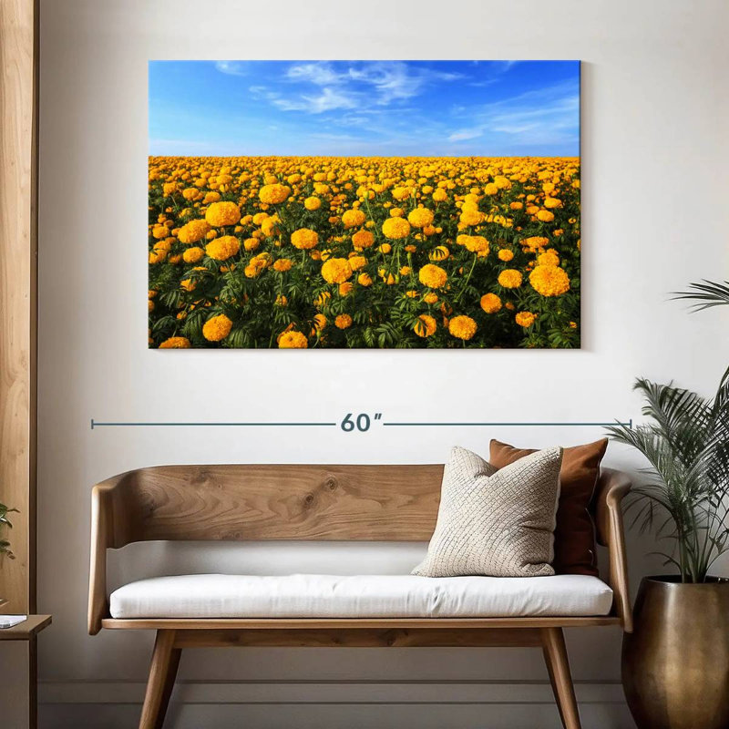 Alvord Marigold Field, H 32 po x l 48 po