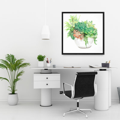 Assortiment de plantes grasses | Cadre blanc exotique