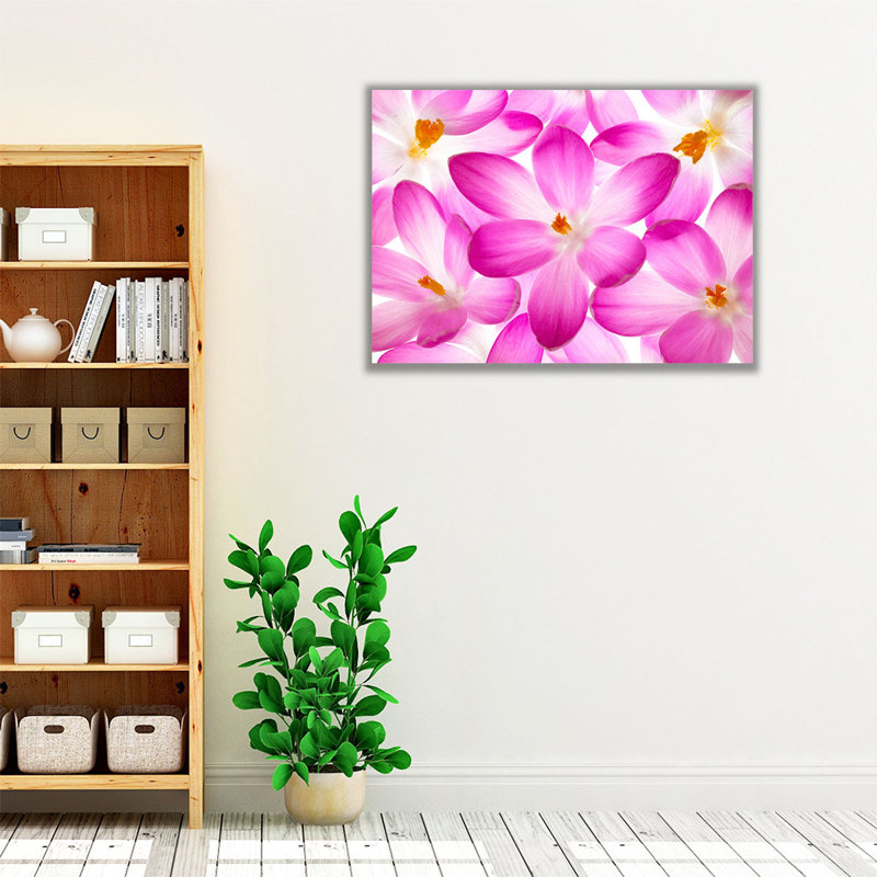 Fleurs de crocus - reproduction d'art sur toile, H 24 po x l 32 po