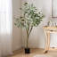Bonsaï artificiel en feuilles d'eucalyptus-2139249135