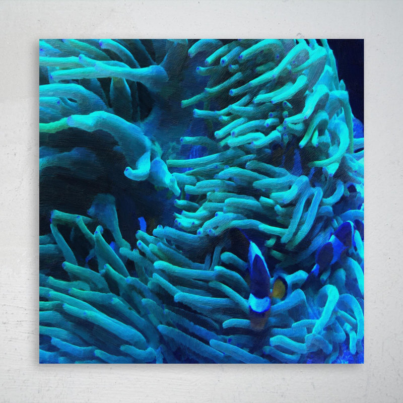 Clown Fishes - 1 pièce, impression carrée sur toile tendue, H 32 po x l 32 po