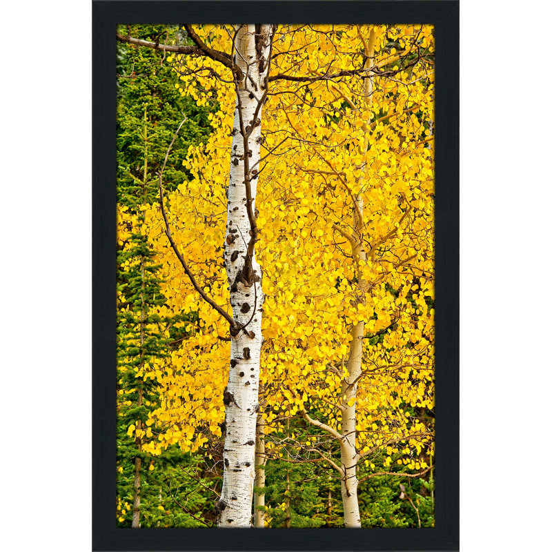 «Sunny Blooms», reproduction de photo, H 27,5 po x l 21,5 po x P 0,75 po, Cadre espresso