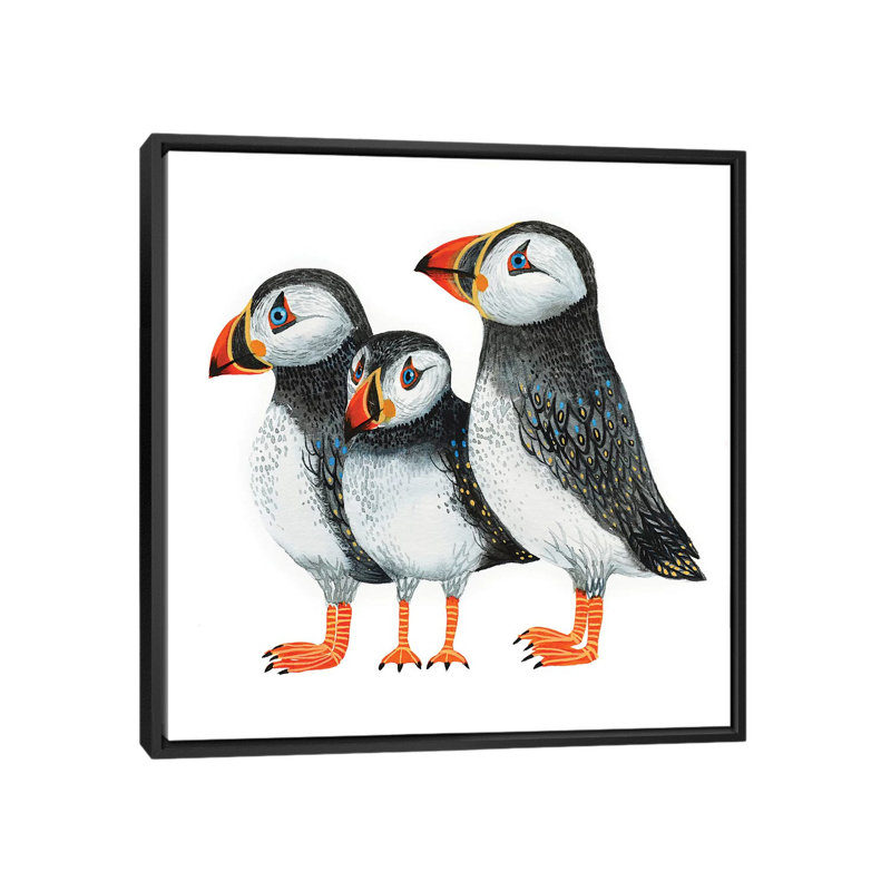 « puffins », reproduction sur toile, H 18 po x l 18 po x P 1,5 po, Toile avec cadre flottant noir, Pas de tapis