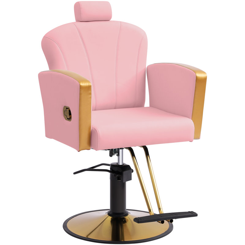 Salon Chair For Hair Stylist,Barber Chair For Home Barbershop With Professional Hydraulic Pump -Pink/Gold, Pink, Gold