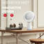 Dawin Round Mirror