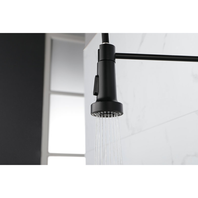 Robinet de cuisine à ressort avec douchette extractible, robinet d'évier de cuisine monocorps en acier inoxydable