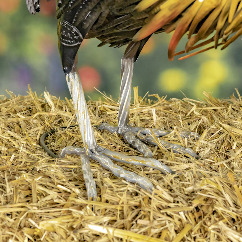 Statue de coq Aween