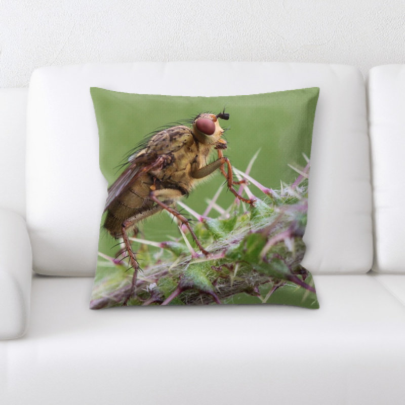 Coussin décoratif fly