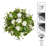 Hydrangea Arrangement-124954908