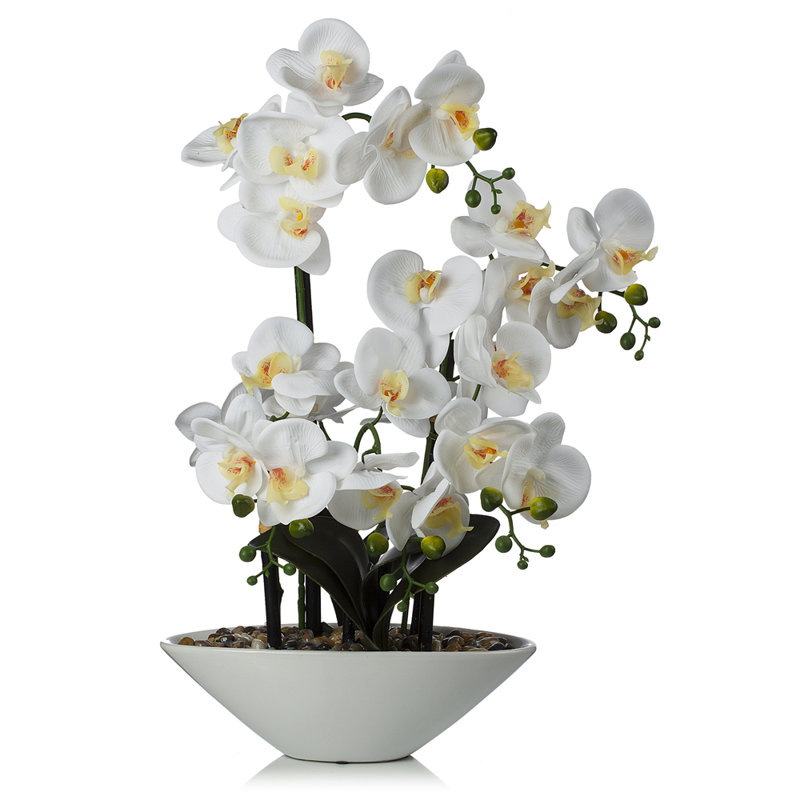 Natural Fibres Orchids Arrangement in Pot