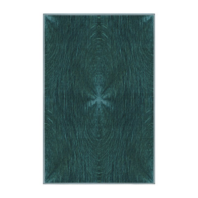 Tapis 100% à motifs lavables à la machine 2989 Pat2372 LBLU
