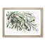 The Olive Branch - Framed Print-55611684-55611685