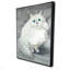 Chinchilla, chat persan
