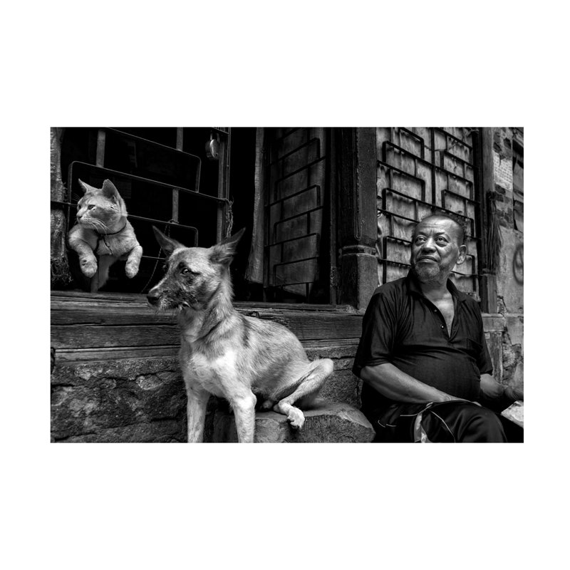 Haitham AL Farsi Good Fellas Canvas Art, H 12 po x l 19 po