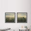 Monaco Monaco Sunlight Through Trees - 2 Piece Single Picture Frame Print-1582497804