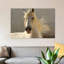 «Elegance» par Tony Stromberg, reproduction de photo sur toile tendue-74539018-74539019-74539020