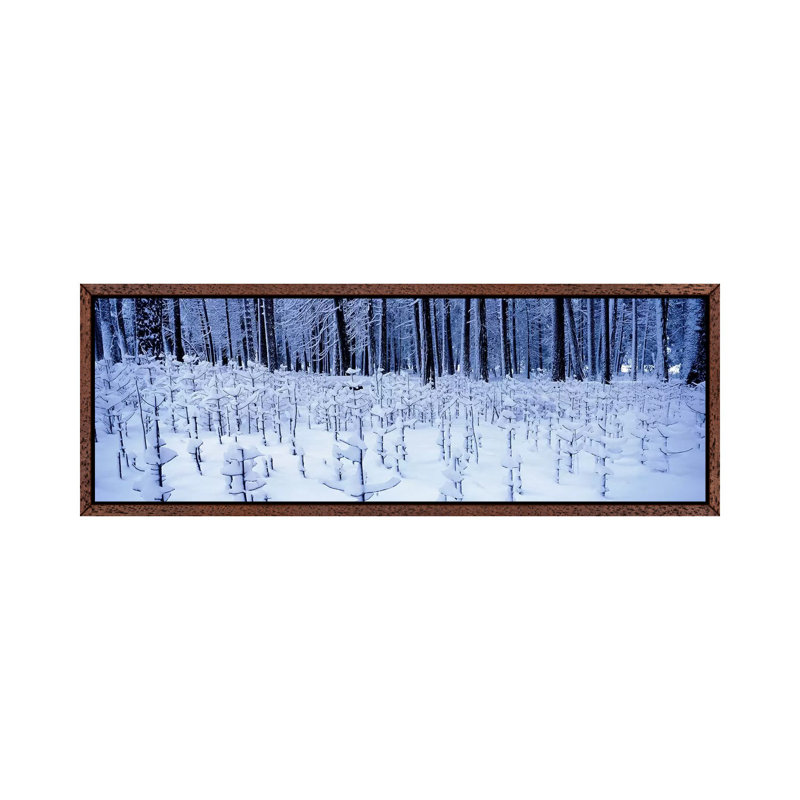 Snow Covered Trees On A Landscape, Yosemite Valley, Yosemite National Park, Mariposa County, California, USA by Panoramic Images - Panoramic Gallery-Wrapped Canvas Giclée on Canvas
