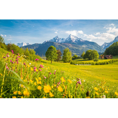 " Meadows In Springtime " by Bluejayphoto