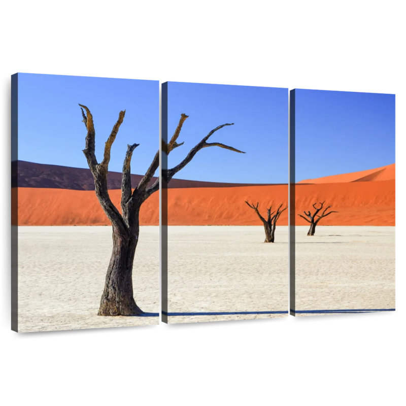 Alvord Namibia Petrified Forest, 42" H x 65" W