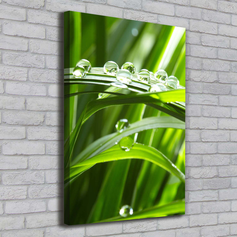 Blades Of Grass - Wrapped Canvas Print