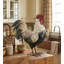 Statue de jardin en métal Verde Rooster-1645474842