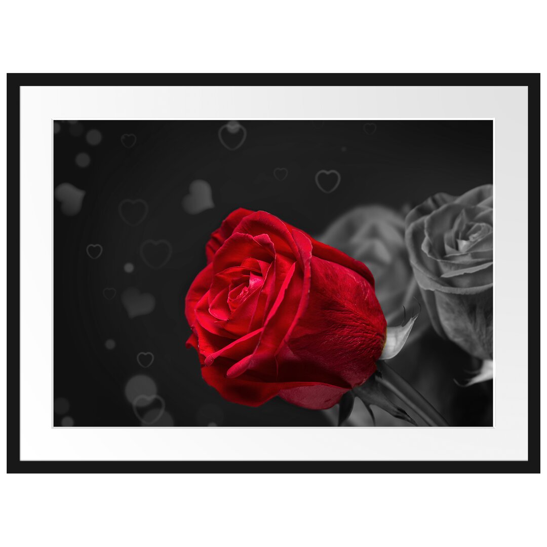 Gerahmtes Poster Rote Rosen zum Valentinstag