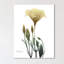 Ocre Bloom 2 - Wrapped Canvas Print-614048681