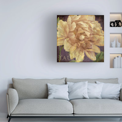 Sasha Jaune Canvas Art_ALI73297