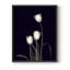 «Tulip Pose III», reproduction encadrée - bois massif-326003814-326003820
