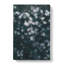 Jellyfish Vol.4 - Wrapped Canvas-61853928