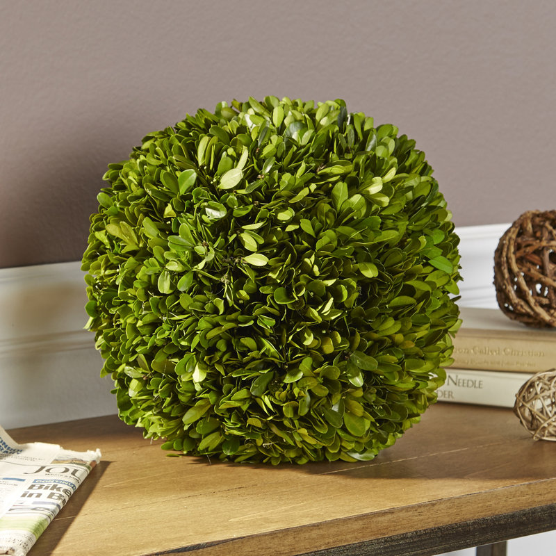 Preserved Boxwood Ball, 4" H x 4" W x 4" D