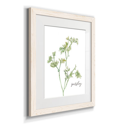 " Fresh Sprig Parsley " Painting Print