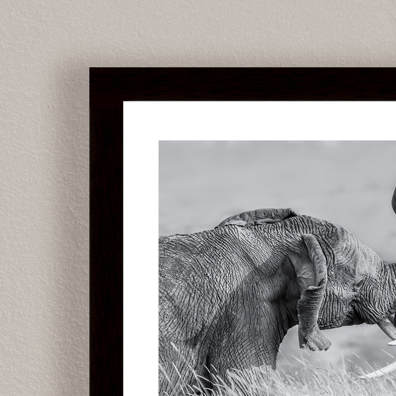 Nature Inspired Elephant Tai Chi by  - Picture Frame Photograph on Paper, 16" H x 24" W x 1.125" D, Black