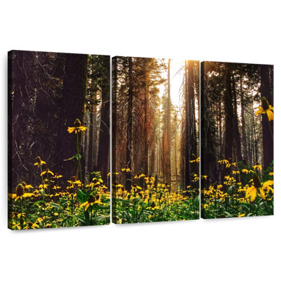 Alvord Pine Forest And Flowers