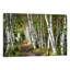 A Walk Through The Birch Trees by Danny Head - Print on Canvas-42160485-101344044-56733377