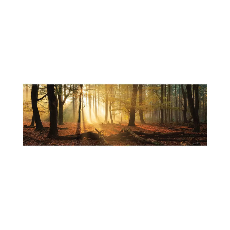 Speulderbos Panorama 1 Piece Wrapped Canvas Panoramic Painting, 121.92 cm H x 40.64 cm W x 1.91 cm D