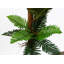 150 cm H Faux Palm Tree Plant in Plastic Pot Liner