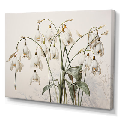 «Snowdrops Moonlit Galanthus Nivalis I», reproduction sur toile