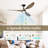 52" Ulanda Blade LED Propeller Ceiling Fan with Remote Control-2131783134