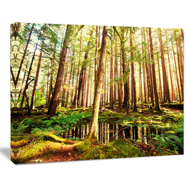 DesignArt Dense Trees In Green Rain Forest On Canvas Print | Wayfair