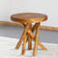 Tabouret d'appoint en bois de teck sculpté à la main avec pieds en branches naturelles, support à plante rond et table d'appoint pour le salon, la chambre à coucher ou le jardin