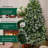 Stephanie 5'/6'/7' Pre-Lit Lighted Artificial Christmas Tree With Snowflakes And Pinecones-234761650