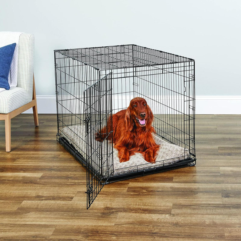 Cage pour chien New World, Grand (H 31 po x l 28 po x P 42 po)