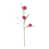 Rose millennial est en rupture de stock